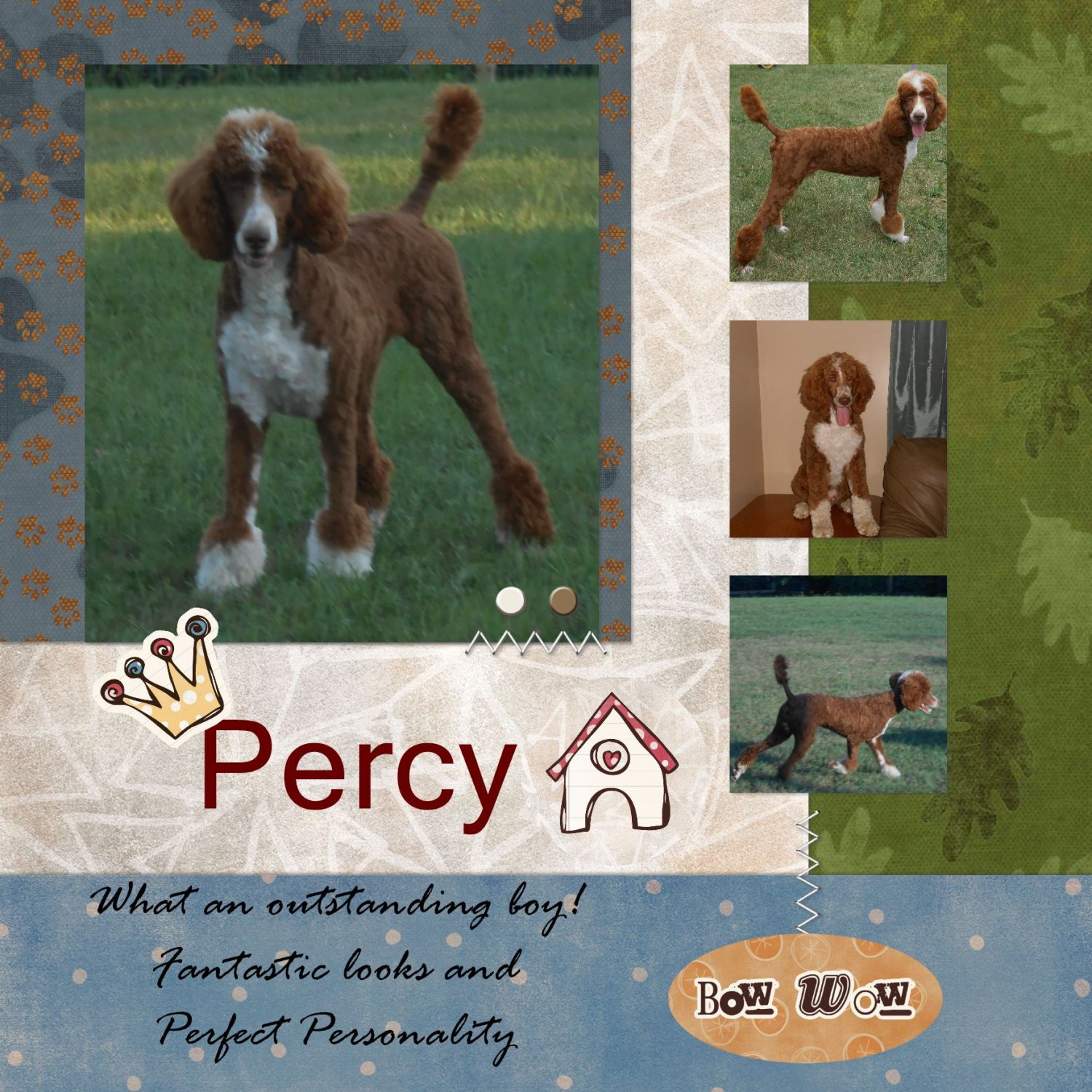 percy3 - Page 021