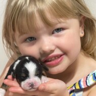 young girl holding puppy